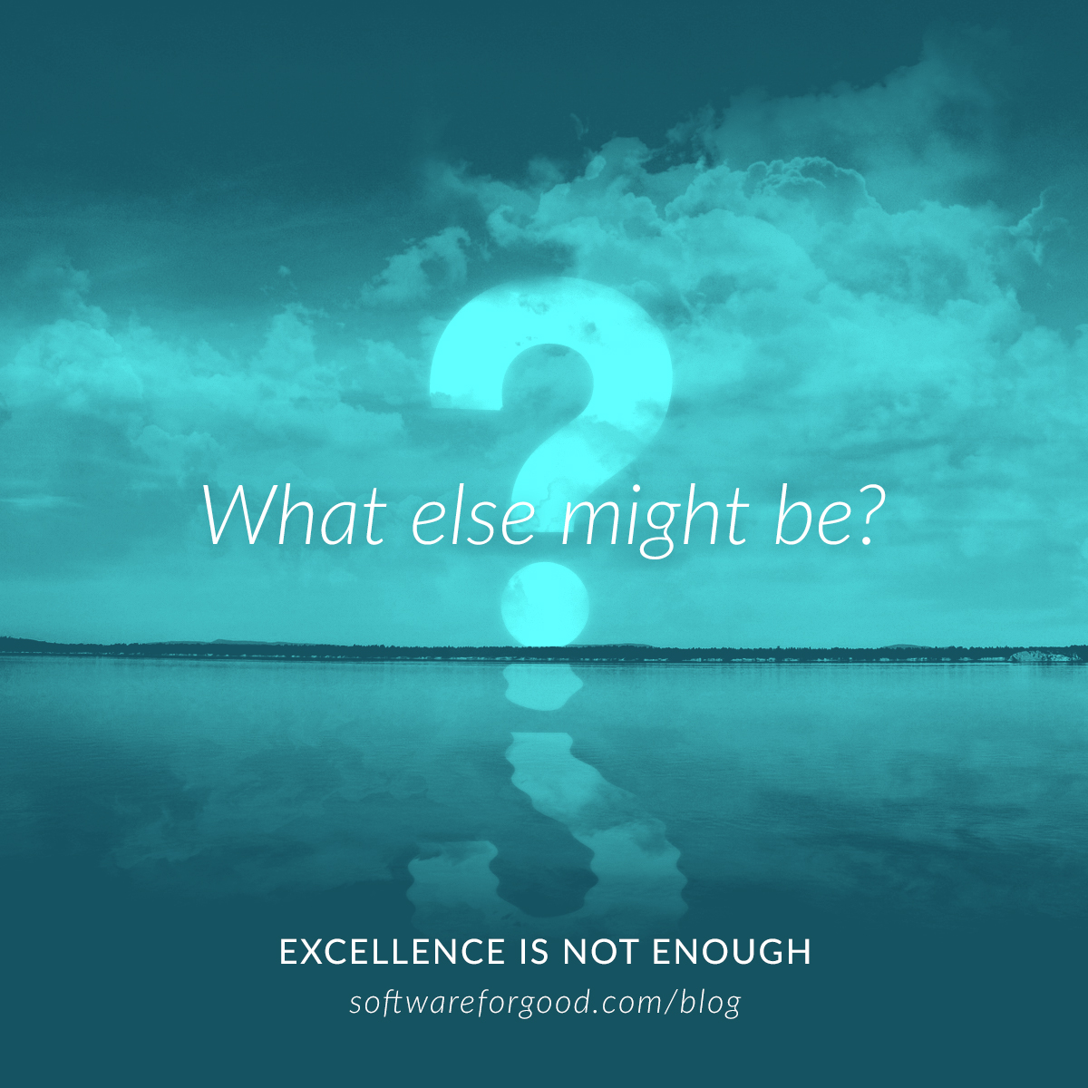 Excellence is Not Enough