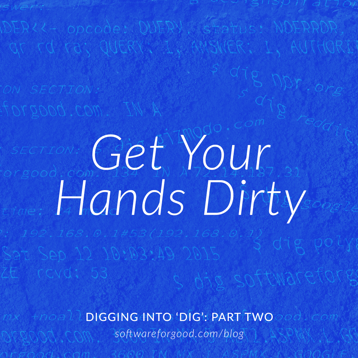 Digging Into`dig`: Get Your Hands Dirty