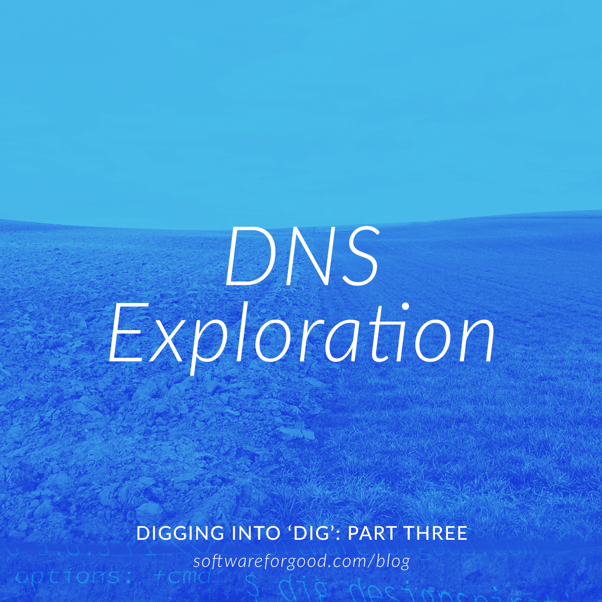 Digging Into`dig`: DNS Exploration
