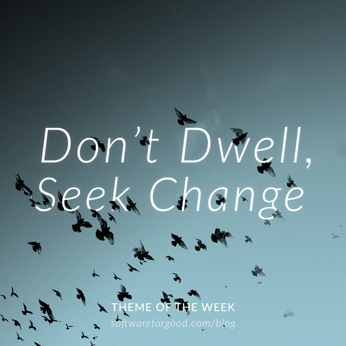 Don’t Dwell, Seek Change