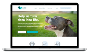 Computer with Shelter Animals Count website home page, with headline "Help us turn data into life."