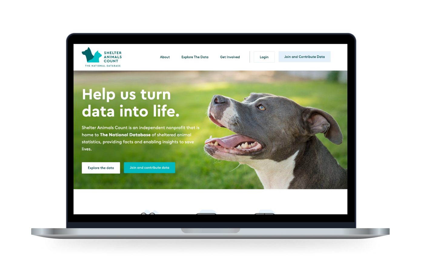 The Shelter Animals Count website displayed on a laptop