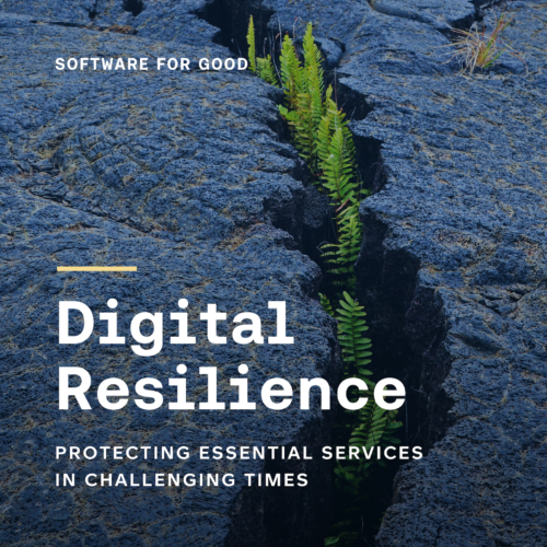 Digital Resilience: Protecting Essential Services in Challenging Times. Image of plants growing through a crack in rocks with text.